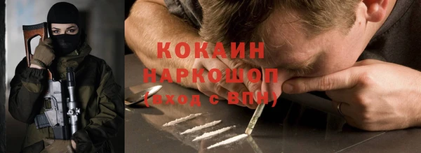 дживик Верхний Тагил