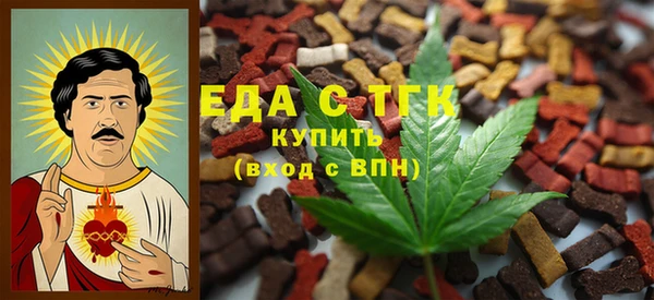дживик Верхний Тагил