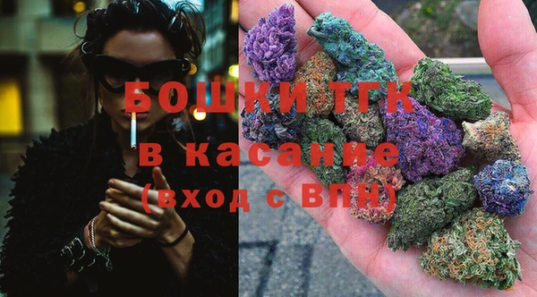 тгк Новозыбков