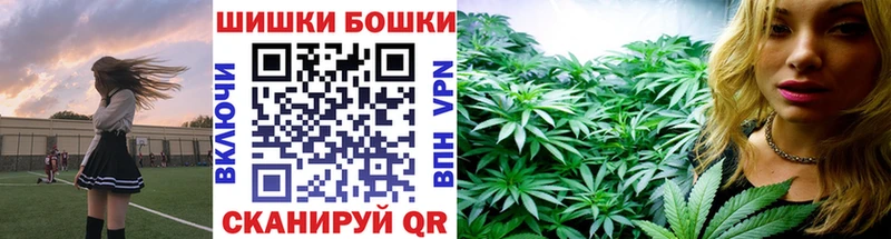 Бошки Шишки конопля  Изобильный 